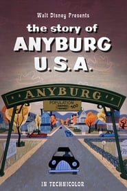 The Story of Anyburg USA