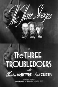The Three Troubledoers' Poster
