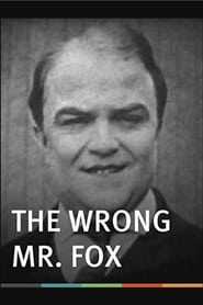 The Wrong Mr Fox' Poster