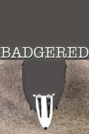 Badgered' Poster