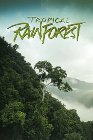 Tropical Rainforest' Poster