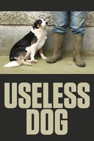 Useless Dog' Poster