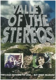 Valley of the Stereos' Poster