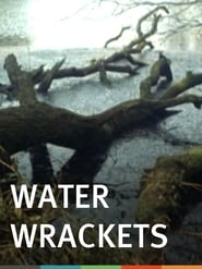 Water Wrackets' Poster