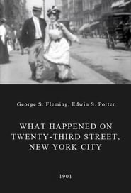 What Happened on Twentythird Street New York City' Poster