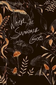 Where the Summer Goes Chapters on Youth' Poster