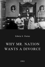 Why Mr Nation Wants a Divorce' Poster