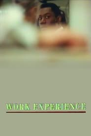 Work Experience' Poster