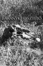 Baranykeresztelo' Poster