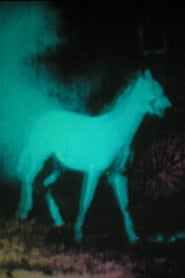 Berlin Horse' Poster