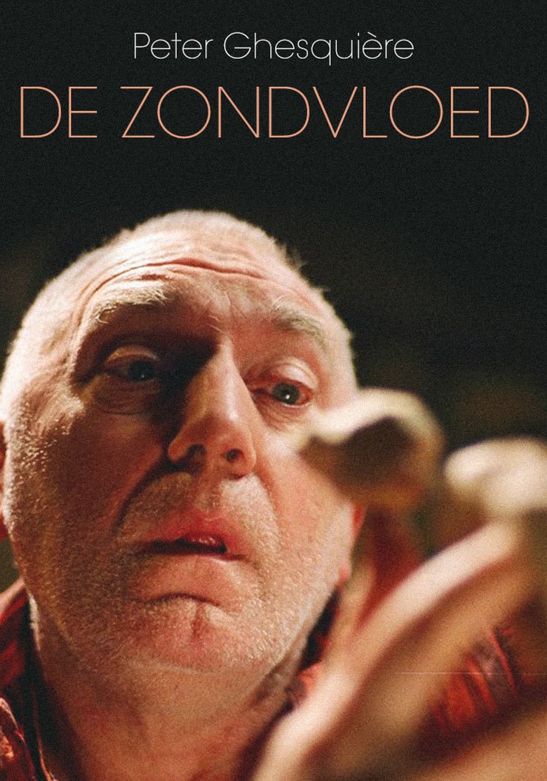 Zondvloed Poster