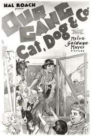 Cat Dog  Co' Poster