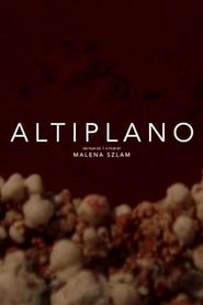 Altiplano' Poster