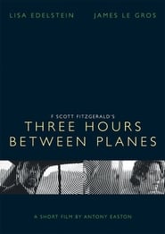 Three Hours Between Planes' Poster