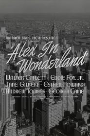 Alex in Wonderland' Poster