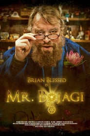 Mr Bojagi' Poster