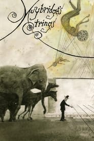 Muybridges Strings' Poster