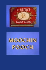 Moochin Pooch