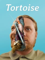 Tortoise' Poster