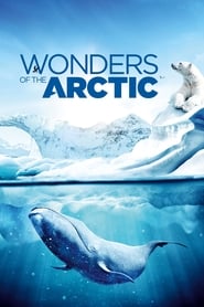Wonders of the Arctic 3D' Poster