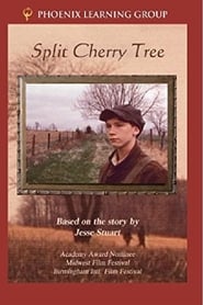 Split Cherry Tree' Poster