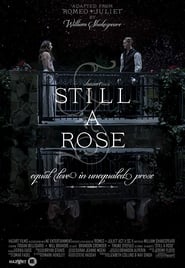 Still a Rose' Poster