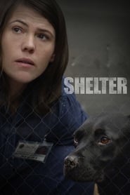 Shelter' Poster