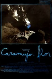 Caramujoflor' Poster