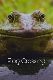 Frog Crossing' Poster