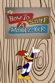 How to Stuff a Woodpecker' Poster