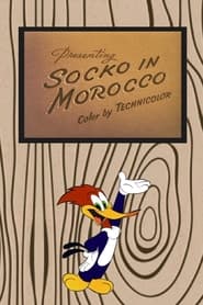 Socko in Morocco' Poster