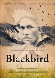 Blackbird' Poster