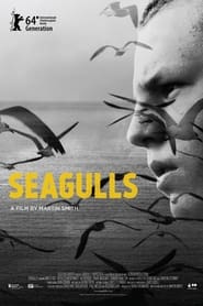 Seagulls' Poster