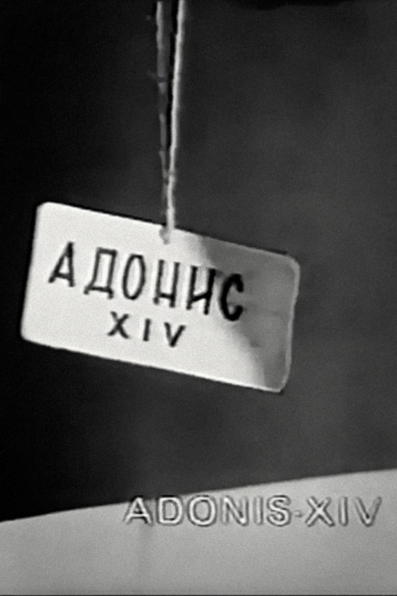 Adonis XIV Poster
