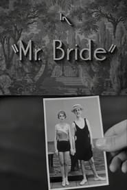 Mr Bride' Poster