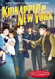 Kidnapped in New York' Poster
