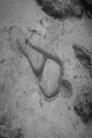 Untitled Silueta of Sand' Poster