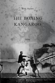 The Boxing Kangaroo' Poster