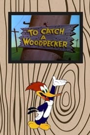 To Catch a Woodpecker' Poster