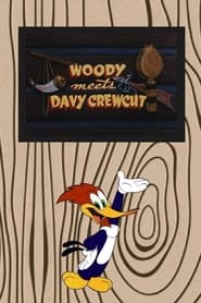 Woody Meets Davy Crewcut' Poster