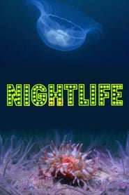 Nightlife' Poster