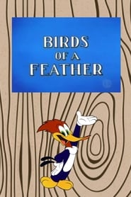 Birds of a Feather' Poster