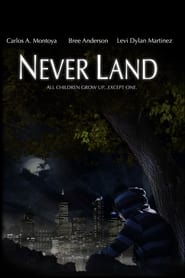 Never Land' Poster