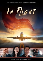 In Flight' Poster