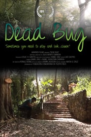 Dead Bug' Poster