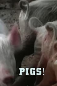 Pigs' Poster