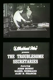 Troublesome Secretaries' Poster