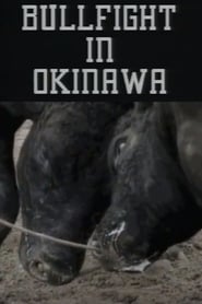 Bullfight in Okinawa' Poster