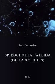 Spirochoeta pallida de la syphilis' Poster