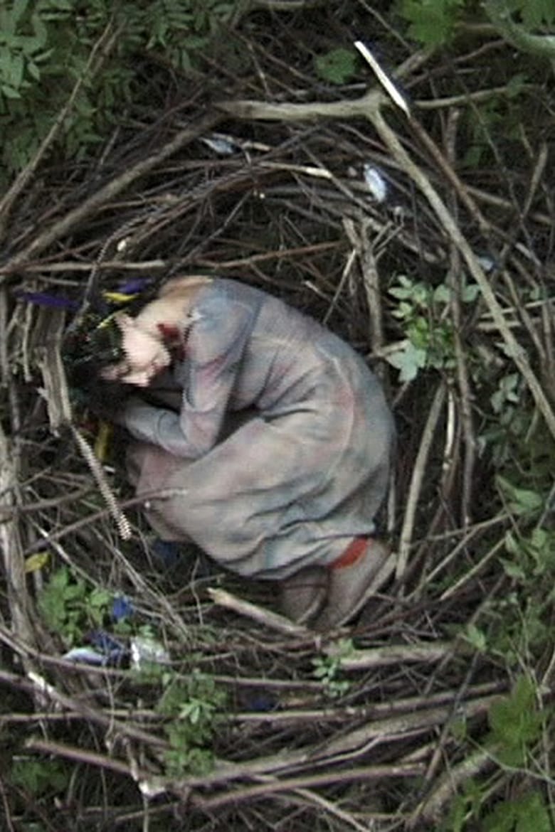 Why Not a Sparrow Poster